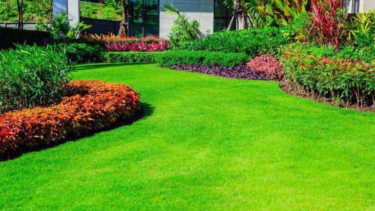 Greener Grass Landscaping: Transforming Your Outdoor Space